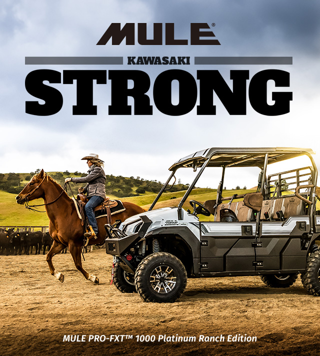 MULE FAMILY: MULE 4010 MULE PRO-FXT RANCH EDITION MULE PRO-MX EPS LE MULE PRO-MX EPS MULE PRO-FXR MULE SX 4X4 XC LE FI SMALL IMAGE