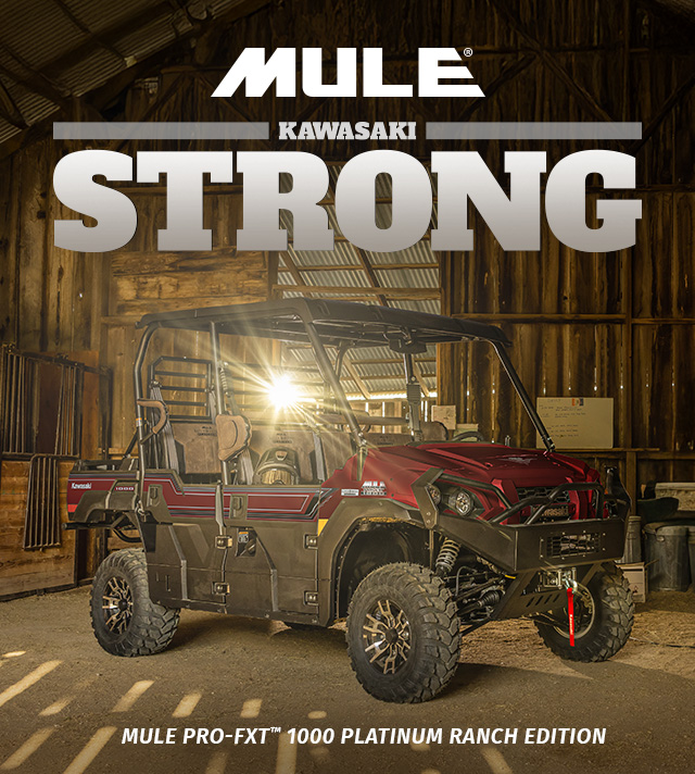 Familia Kawasaki MULE™ | Vehículos Utilitarios y Recreativos Side